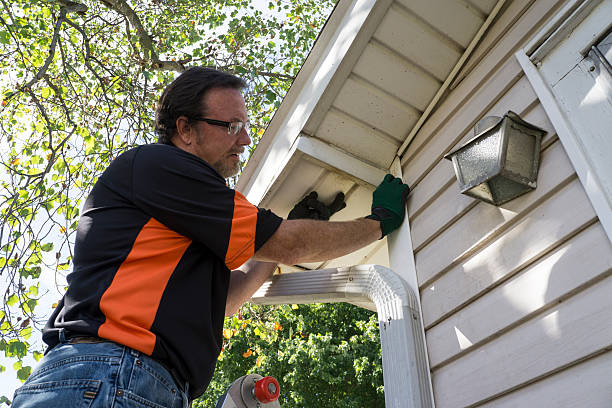 Best Engineered Wood Siding  in Morgan Hill, CA